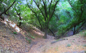 Screen Shot 2014-08-04 at 5.15.39 PM